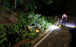 Unwetter verursachen Feuerwehreinsätze: Baum auf der Fahrbahn