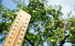 Hohe Temperaturen beschäftigen Rettungsdienste und Feuerwehren
