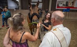 Tiersegnung beim RFV Haunetal: Ein fest der Liebe und des Zusammenhalts