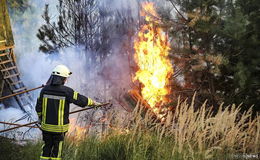 450 Quadratmeter Waldfläche brennen: Kripo vermutet vorsätzliche Feuerlegung